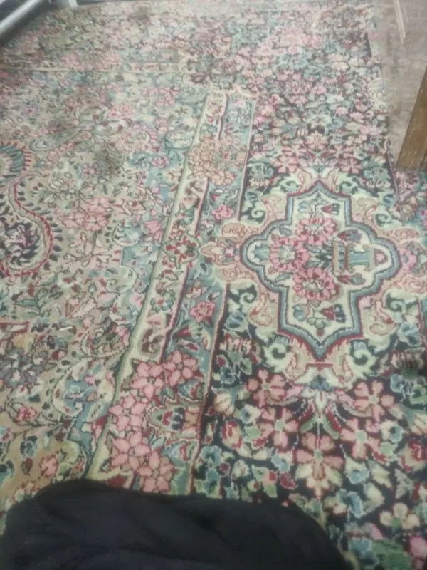 سوییت اجاره داده میشه فقط خانم