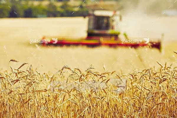 زمین کشاورزی