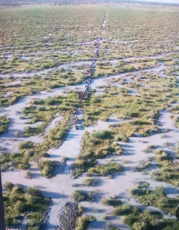 زمین خام شیروانه