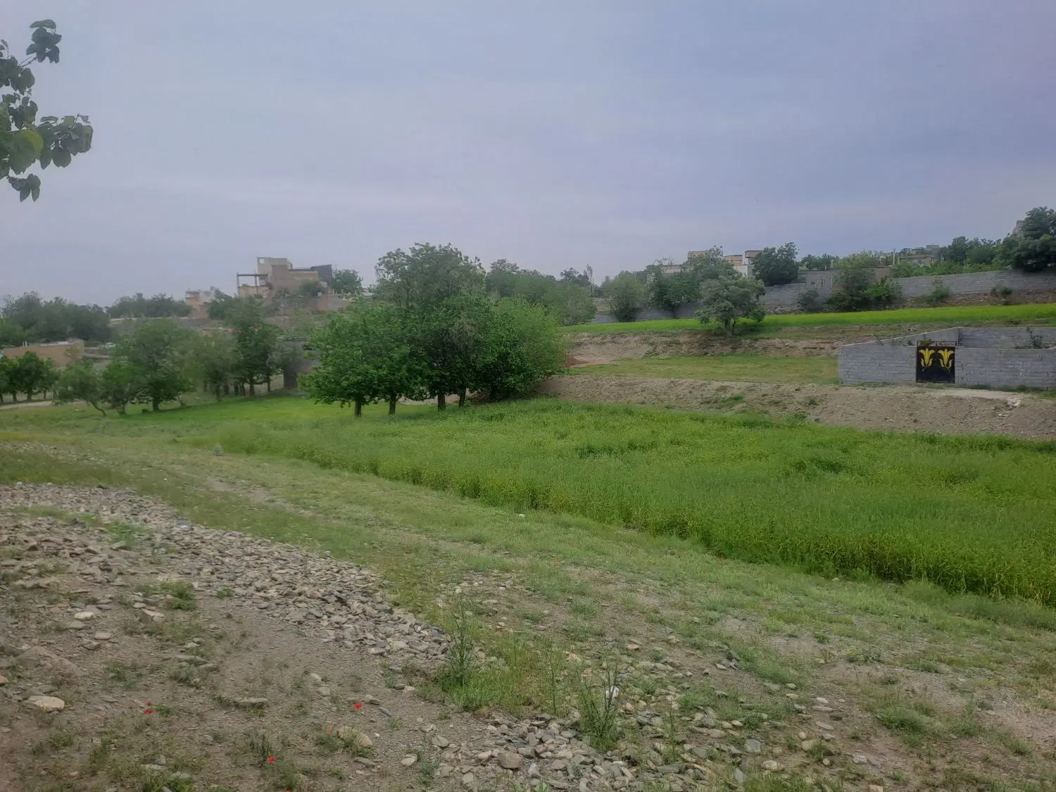 ۵۰۰متر زمین شاندیز