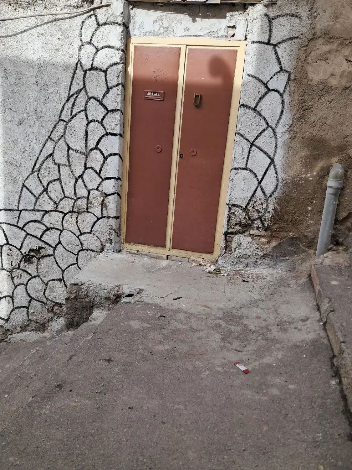 عباسی یوسف آباد نسترن