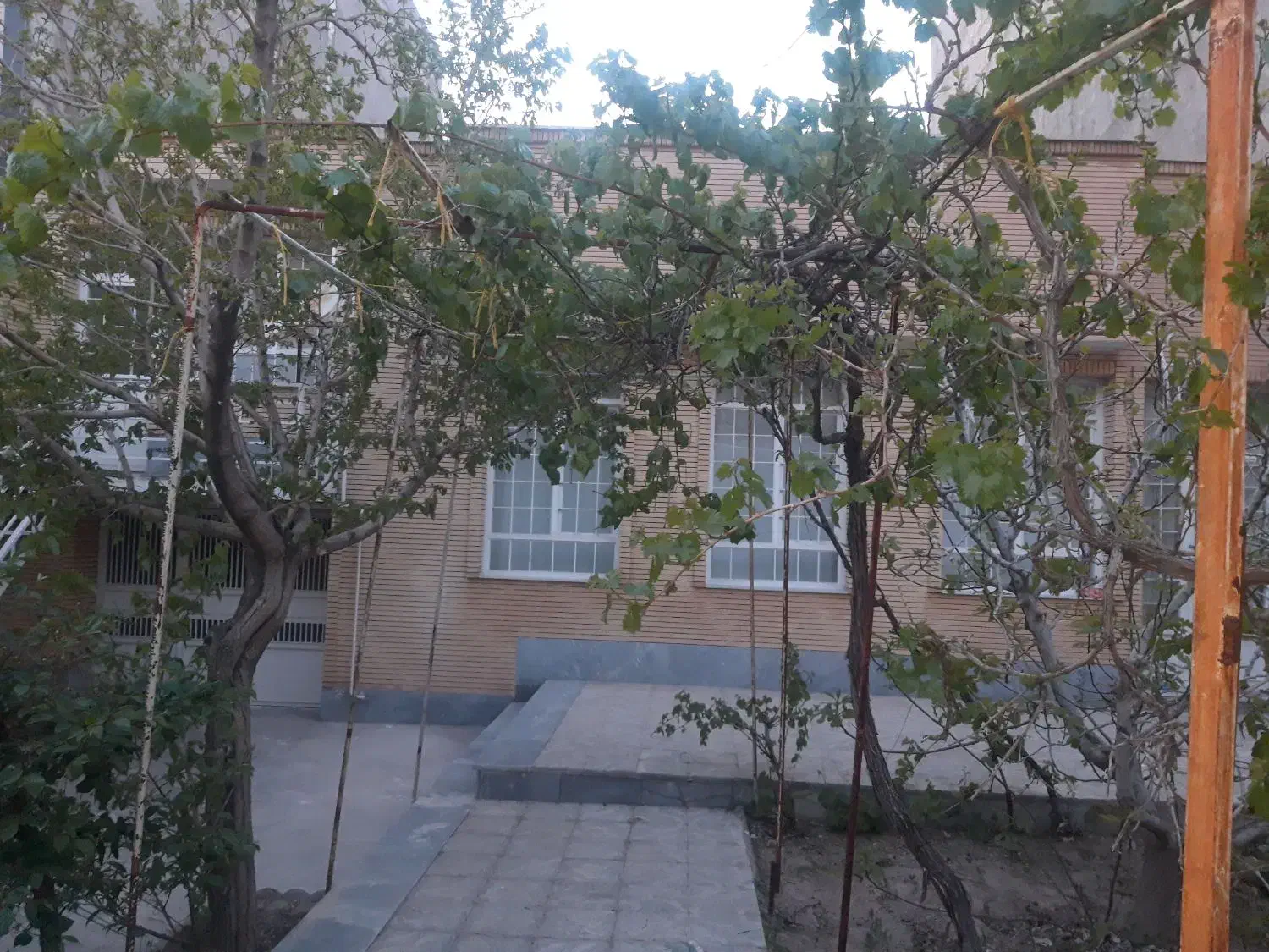 حیاط ویلایی