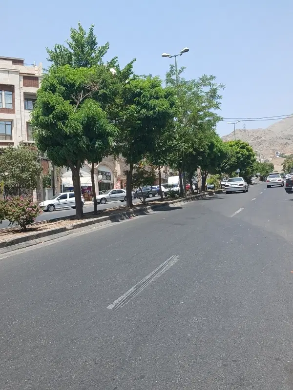 زمین مسکونی 196 متری_ تاپ لوکیشن