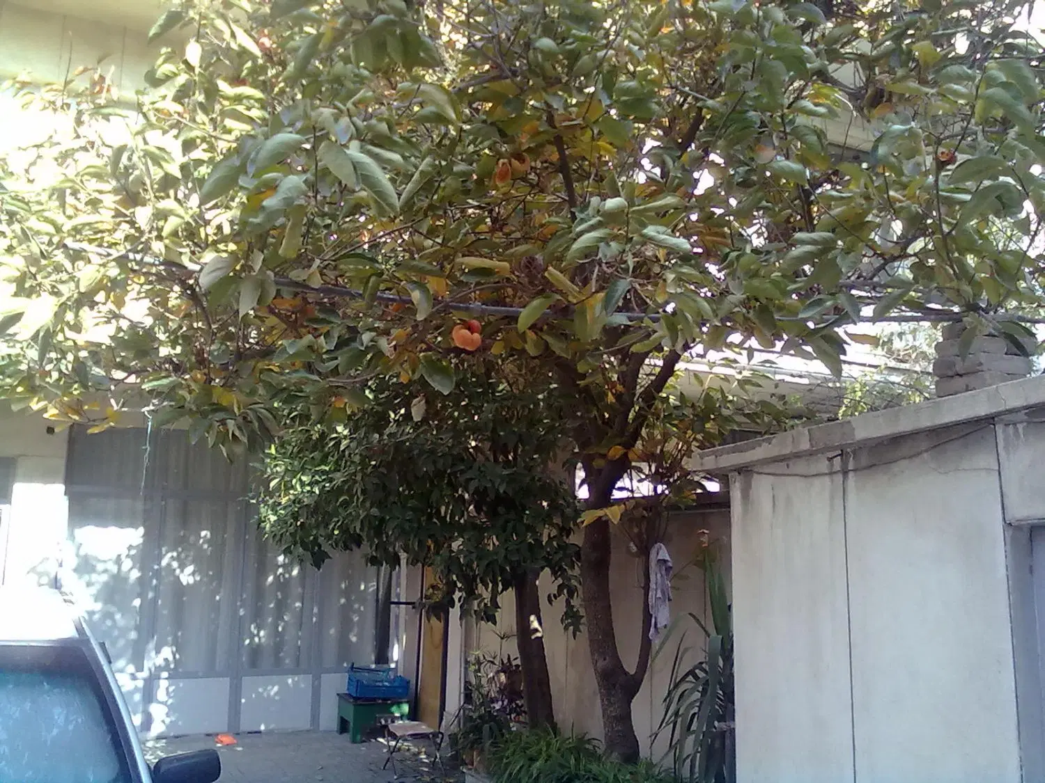 خانه مسکونی