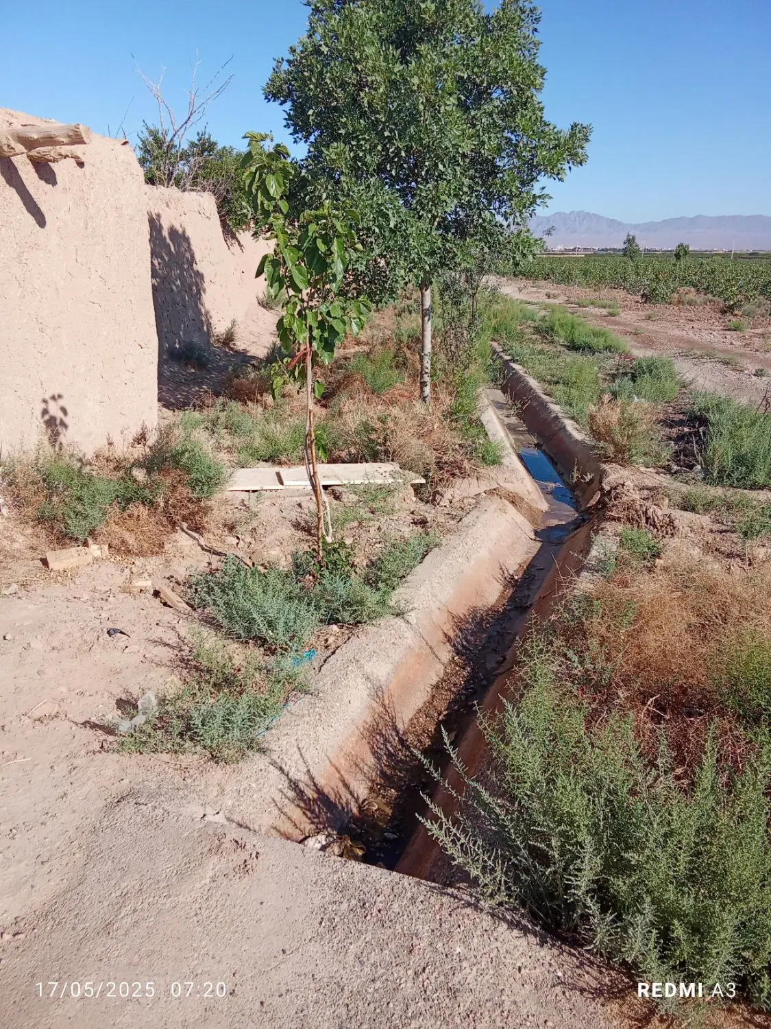 ۲۰۰۰ متر باغ پسته شمس آباد