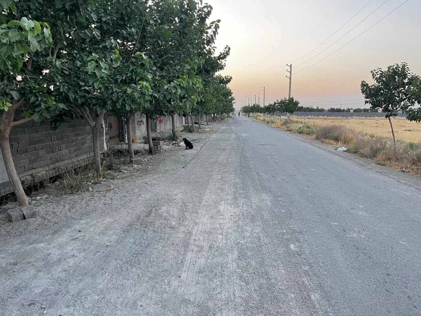 متراژ ۶۷۰متر چهار دیواری دختر دوساله