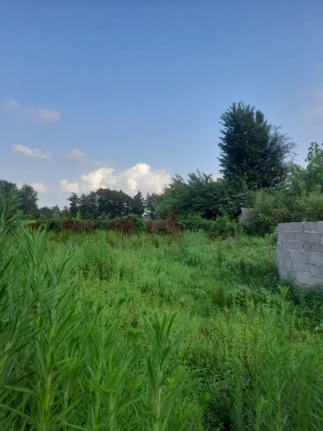 زمین مسکونی