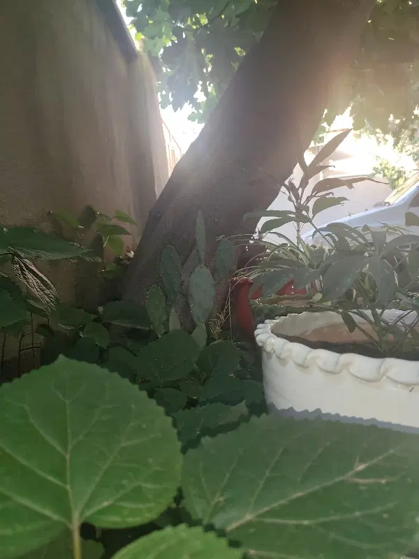 خانه ویلایی ناصرخسرو