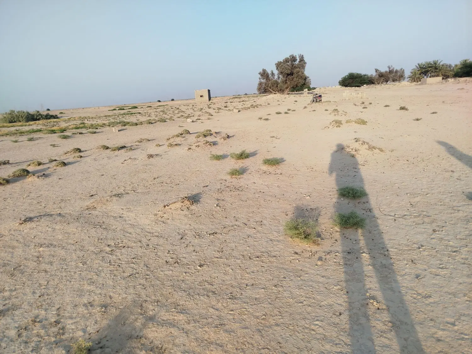 1800 متر زمین مسکونی بند محمد عبدالله