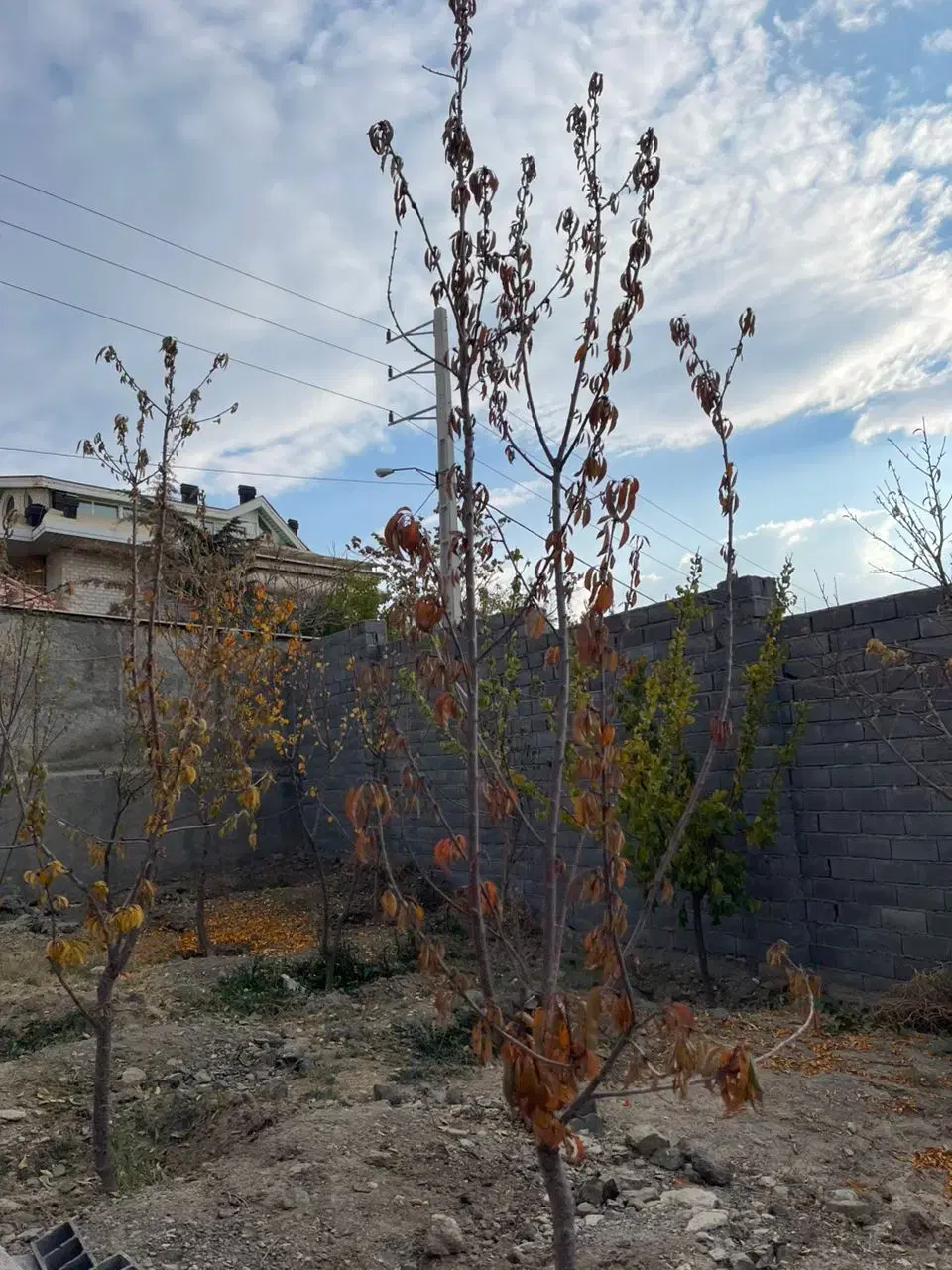 ۱۰۰۰ متر باغ ویلابا ۳کنتورقانونی بافت مهرابادرودهن
