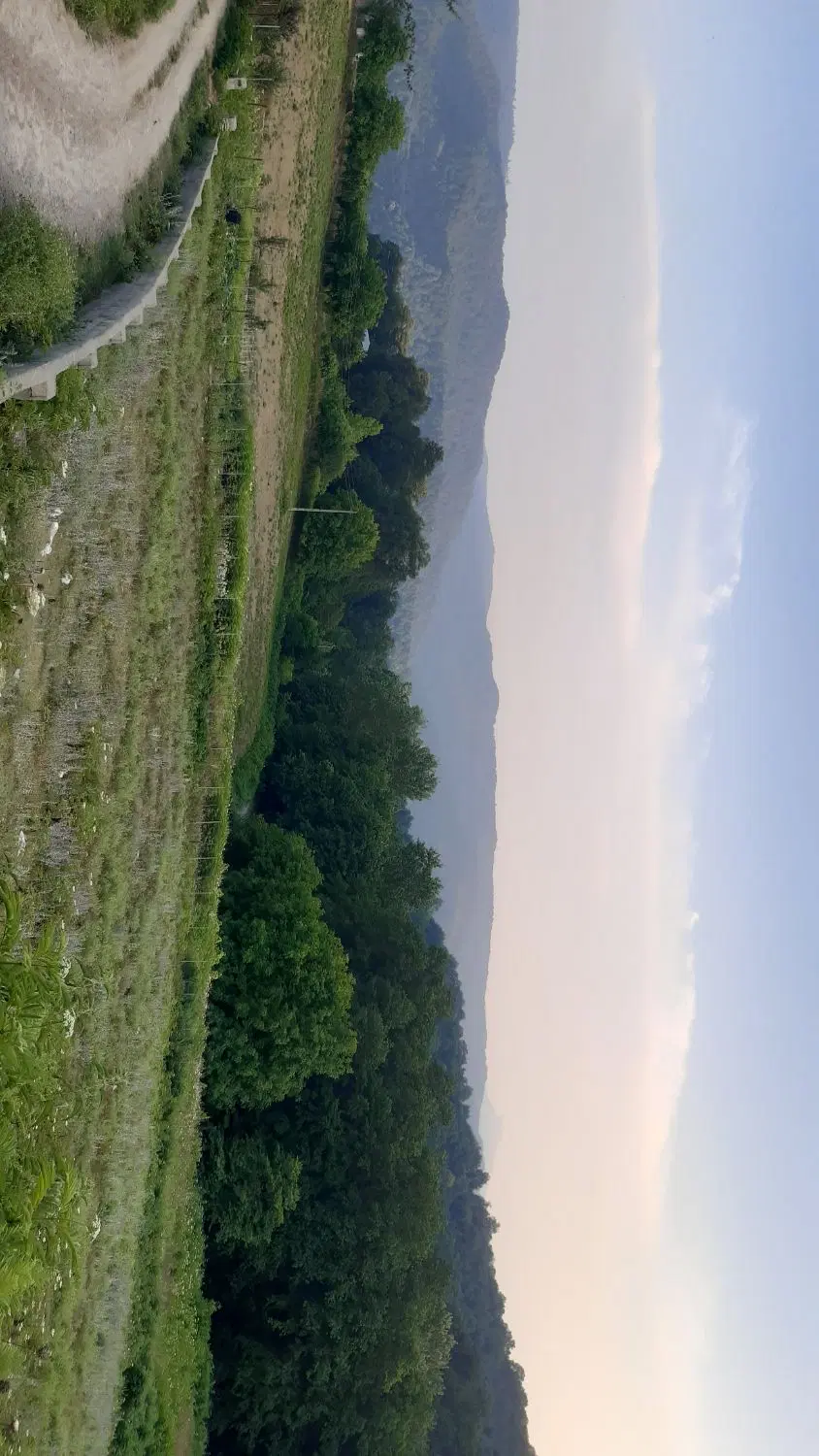 زمین فروشی