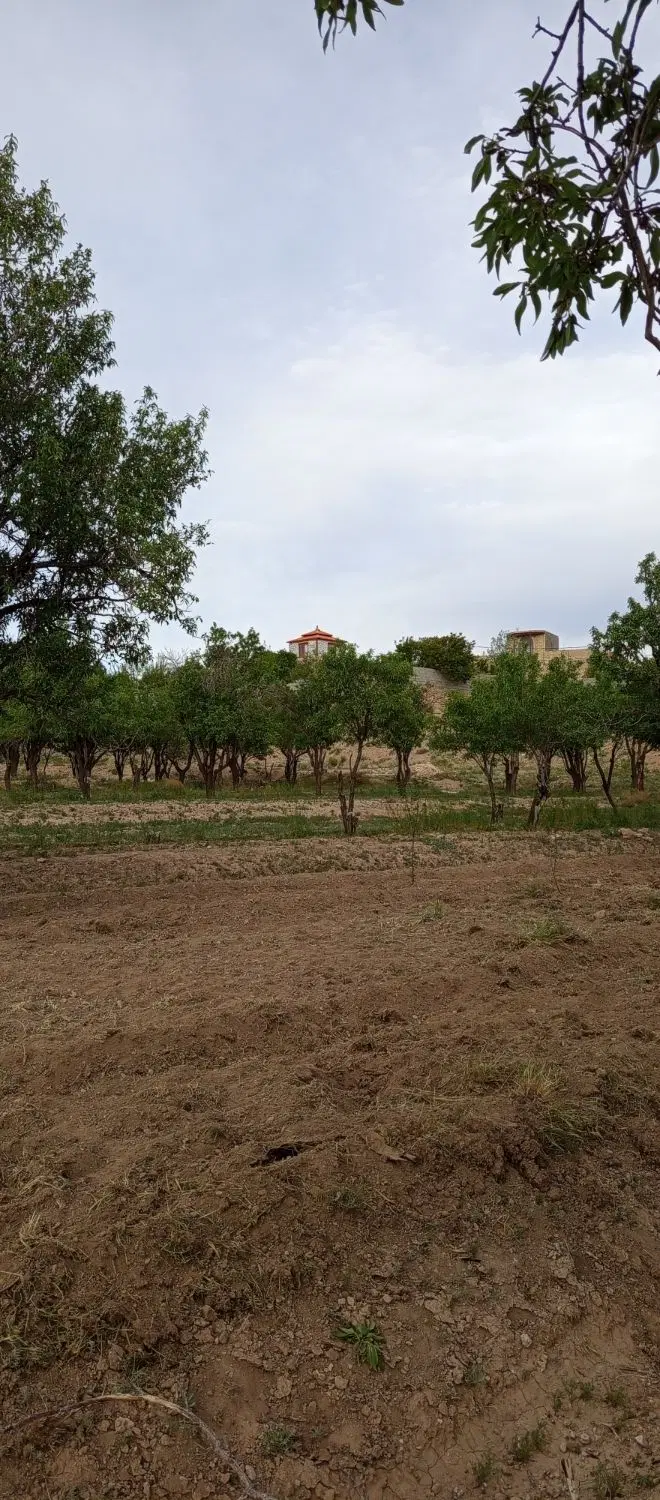 منزل ویلایی شیک