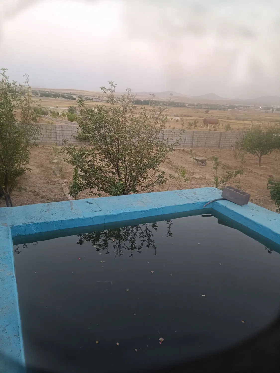 باغ یکانه