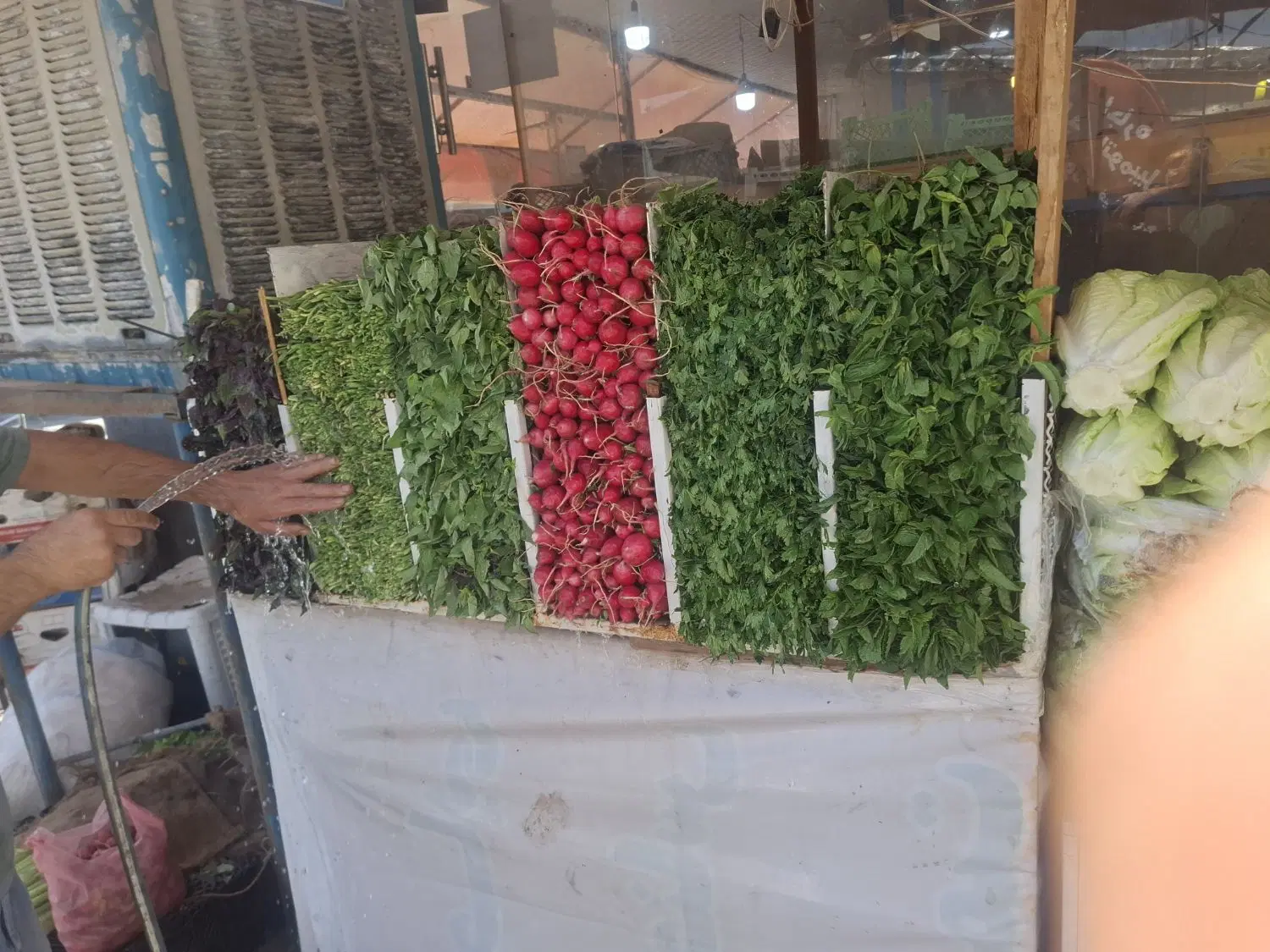 جاره غرفه سبزی