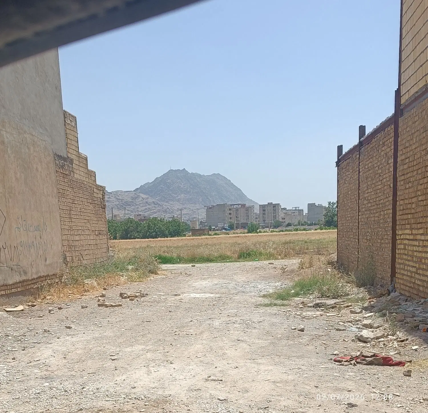 زمین پاپی خالدار