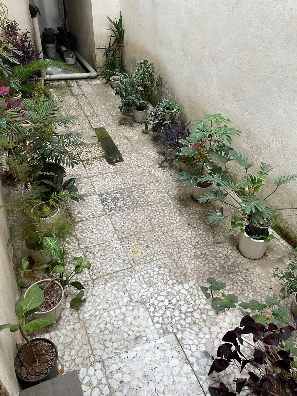 خانه ویلایی دوبلکس حیاط دار
