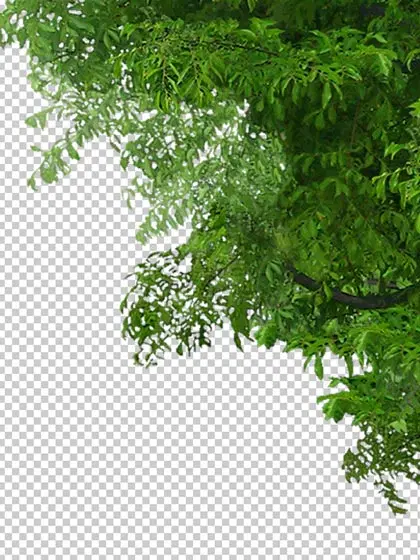 فروش باغ وباغچه