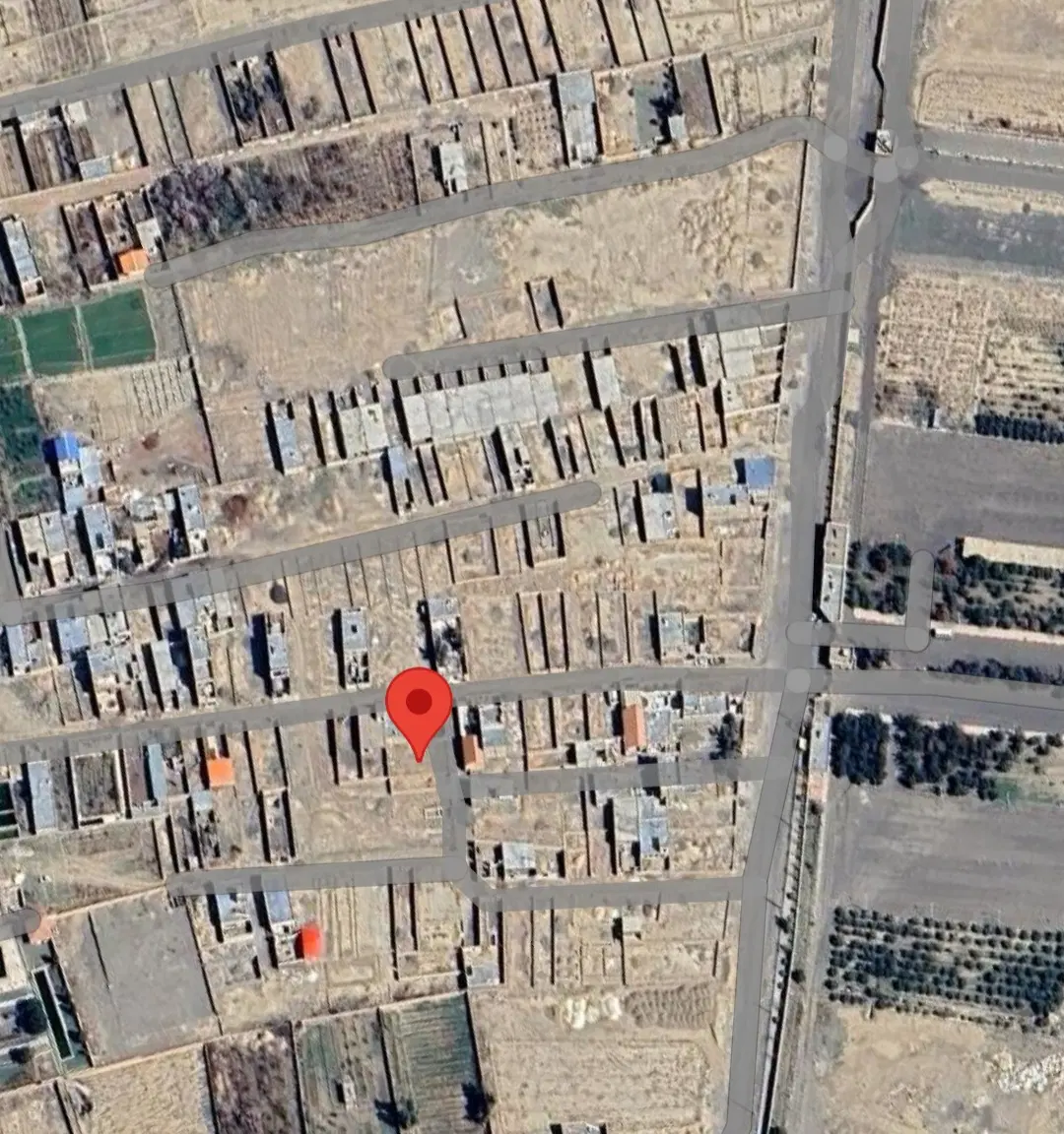 زمین سند تک برگ
