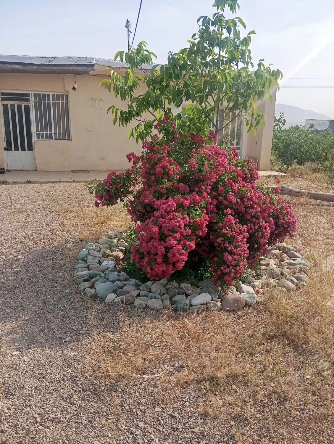 زمین باغچه فروشی دارای آب گاز برق چهار دیواری