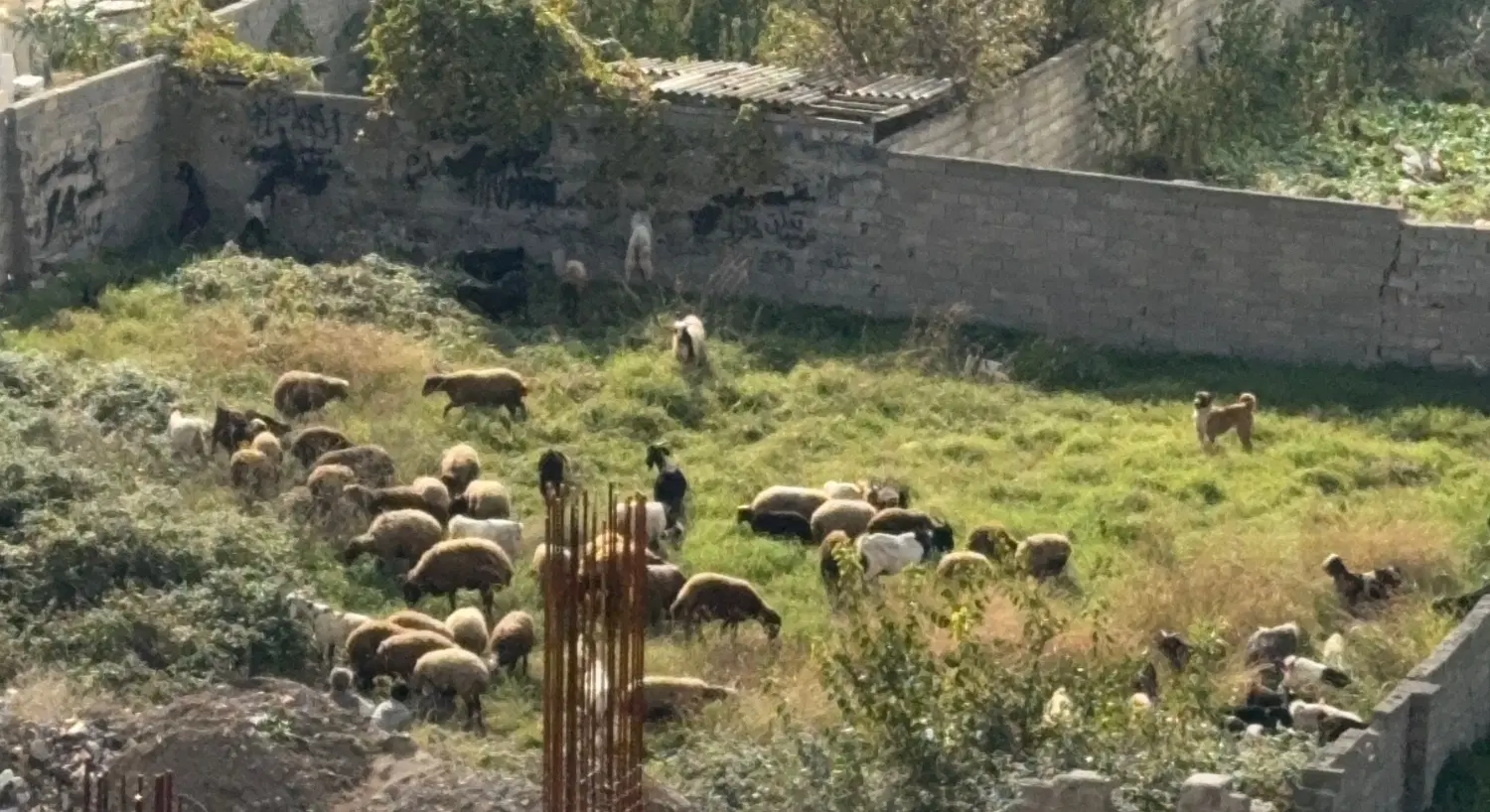 ۴۰۰ متر زمین مسکونی