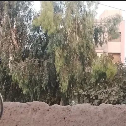 زمین جهت سرمایه گذاری بلوار امام رضا نبش مصلا