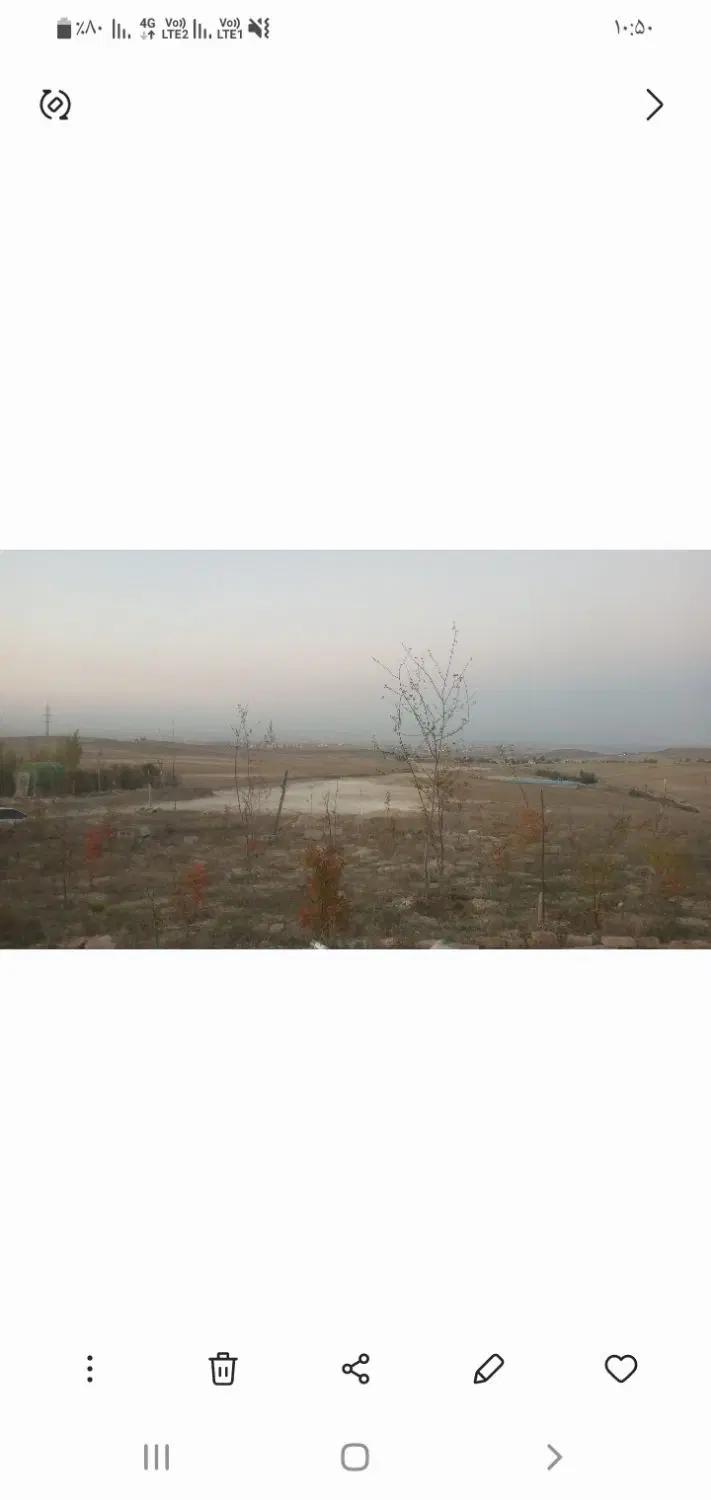 بنفشه دره پلاک ۳۵ سند تک برگ