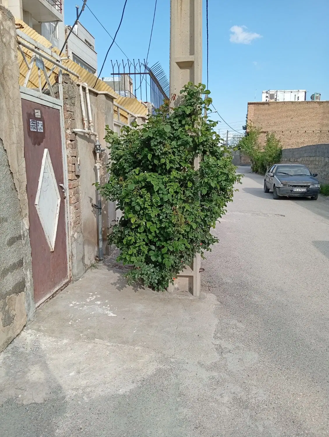 ۶۵مترویلایی نوکان