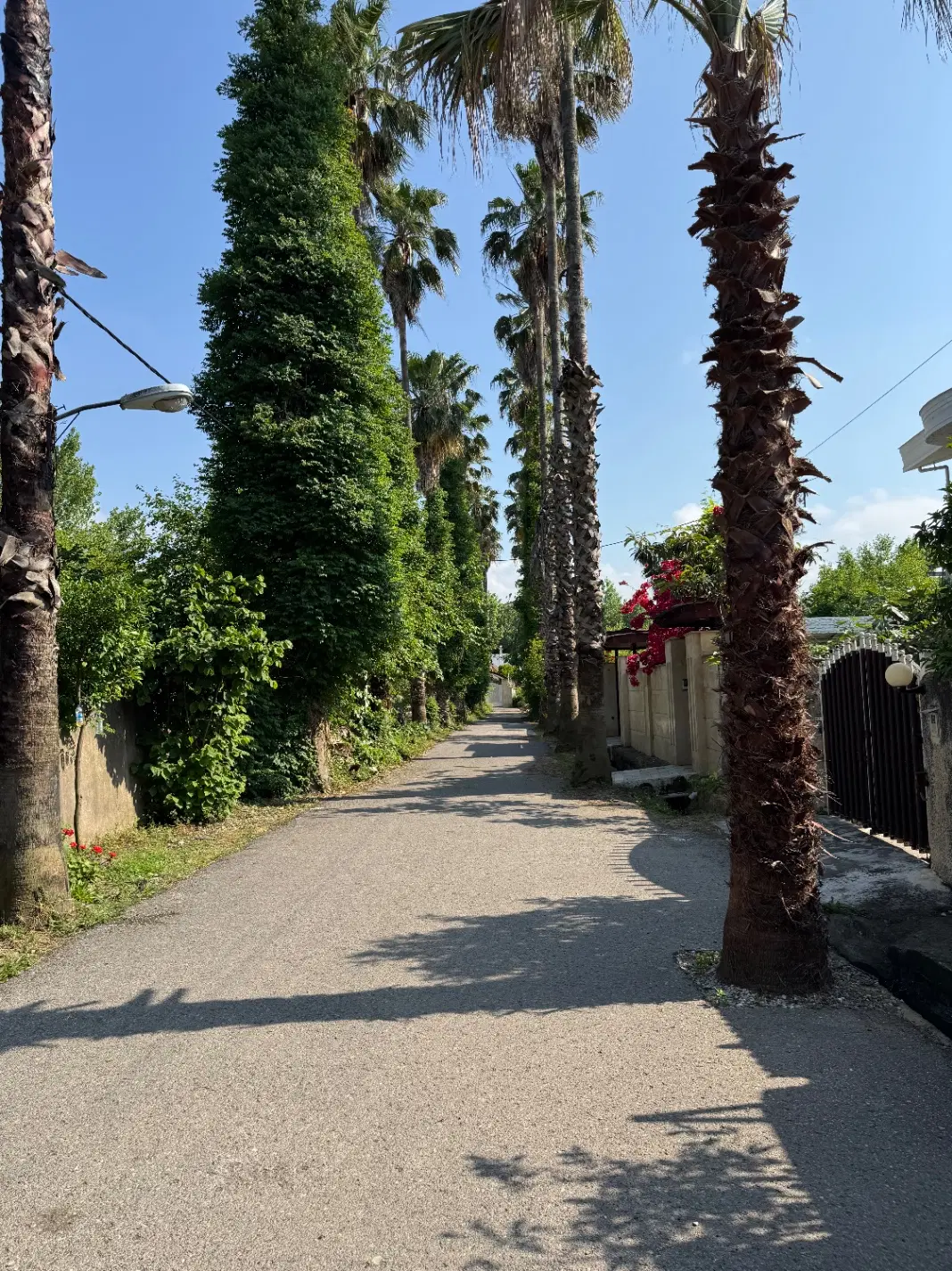 قطعه زمین ۴۵۰ متری بهارستان شمالی