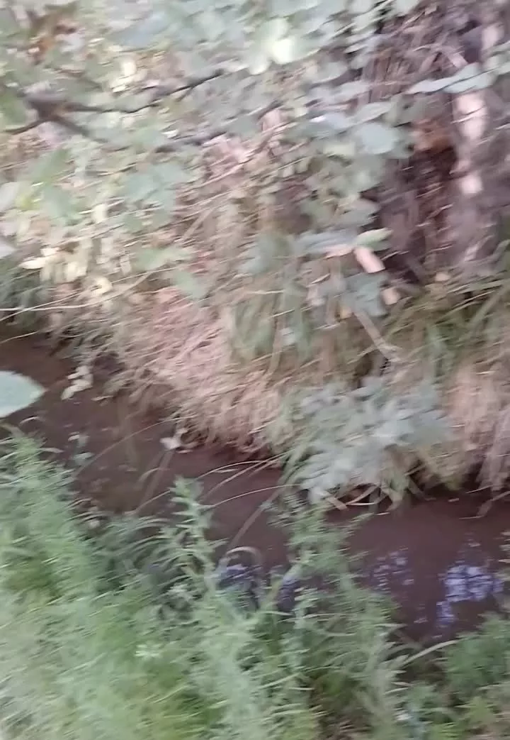 باغ جوپار