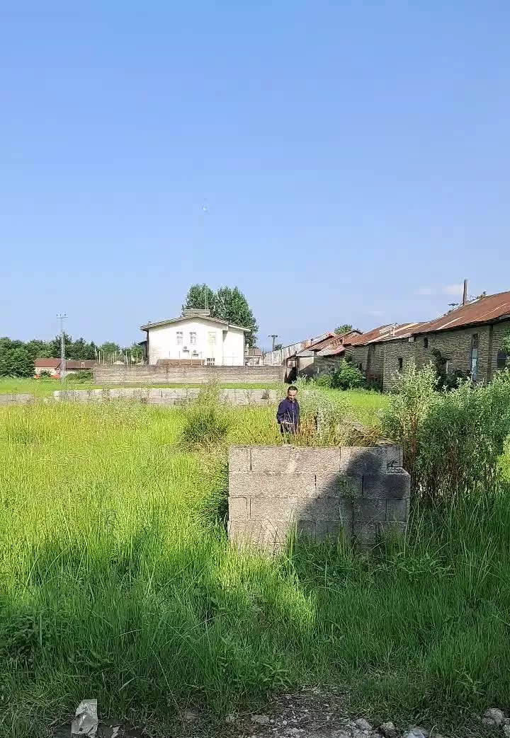 زمین مسکونی ۲۰۰ متری در شفت