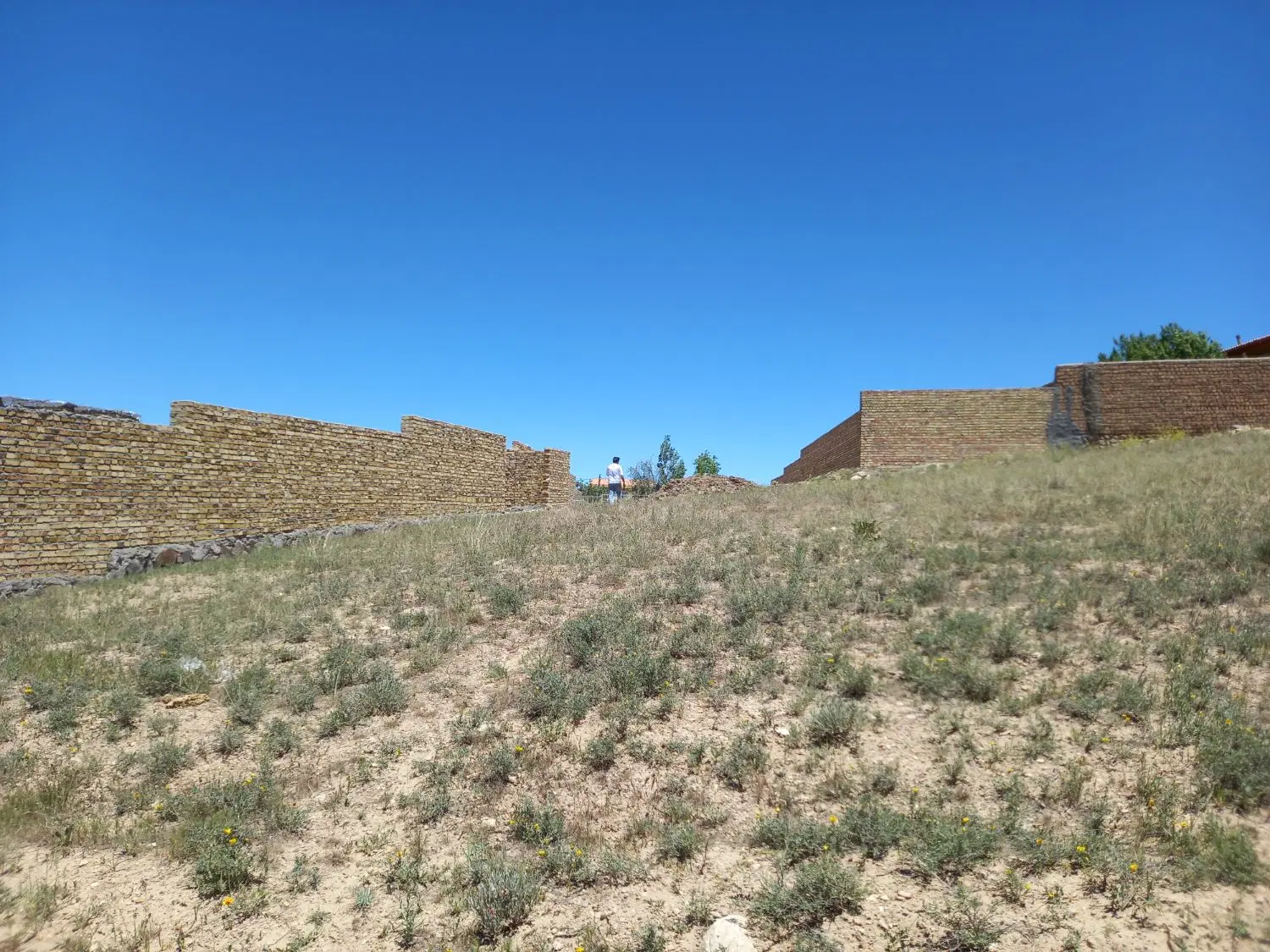 زمین