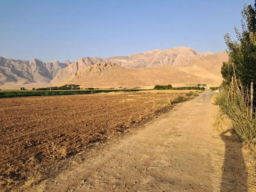 زمین باغی سرابله