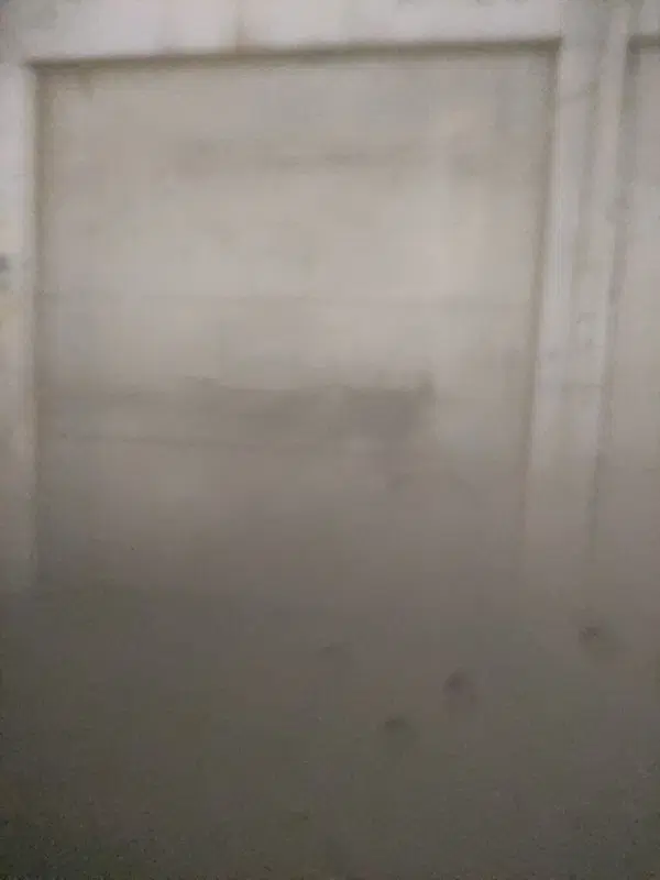 اجاره مغازه