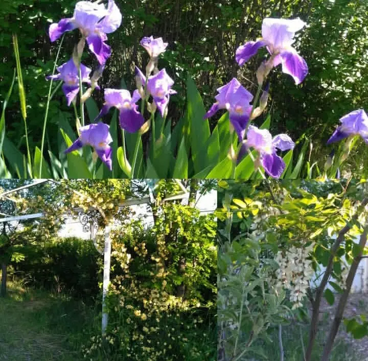 یک قطعه زمین در نجف آباد