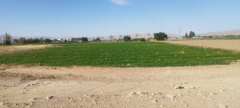 فروش زمین دهک و دولت آباد