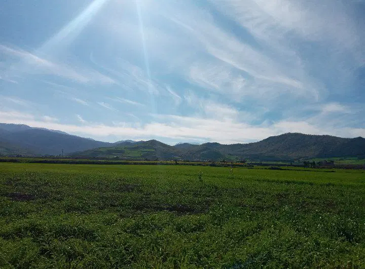 ۳۰۰۰ متر زمین کشاورزی دارای قنات