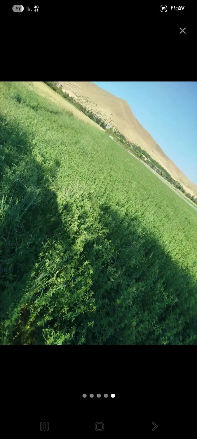 اجاره۲هکتارزمین آبی باآب ۲۴ساعته فراوان