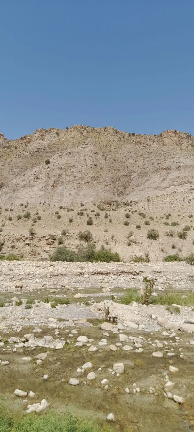 زمین مسکونی