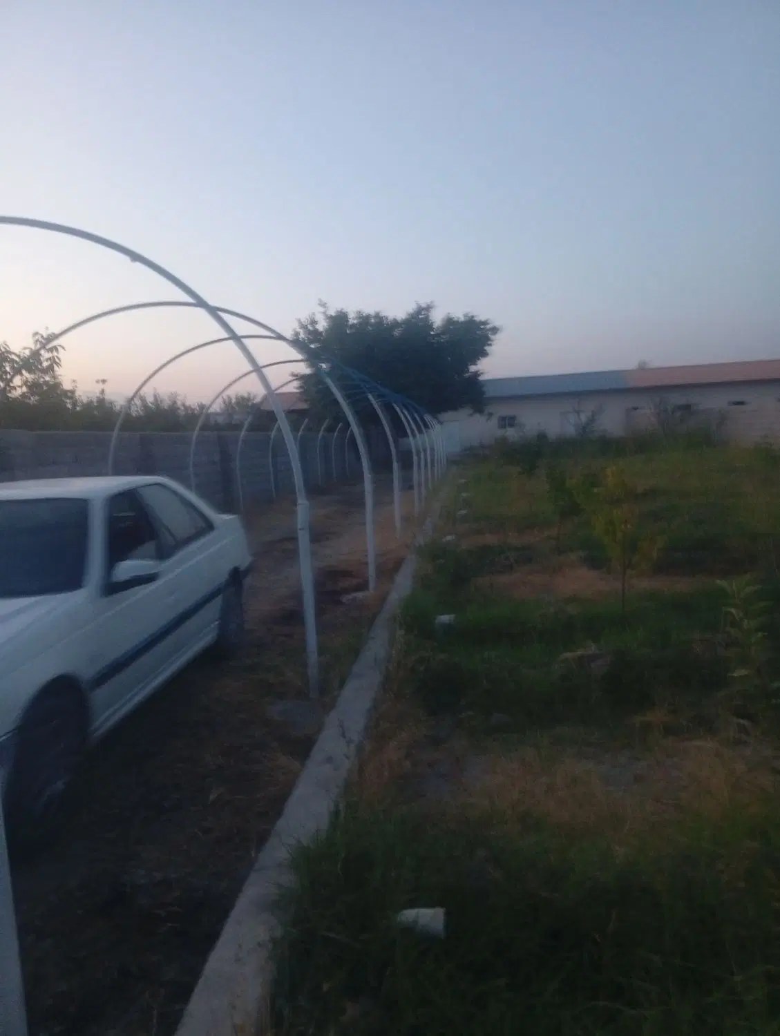 ویلا باغ
