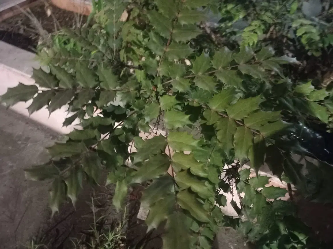 فروش خانه ویلایی