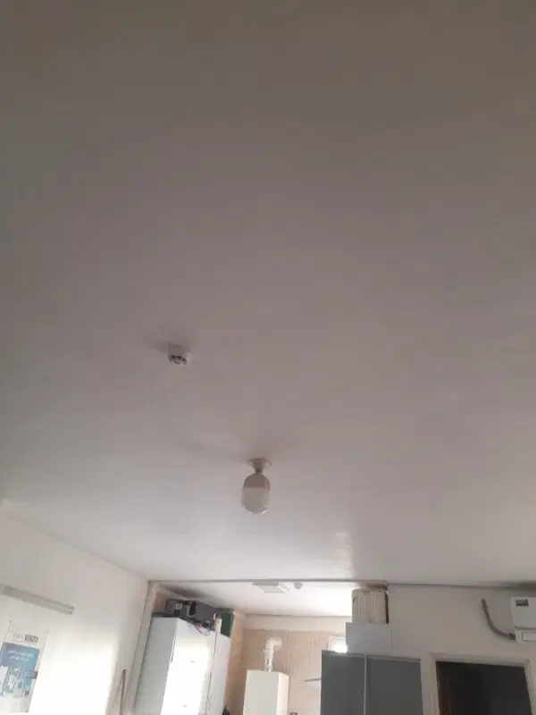 همخونه