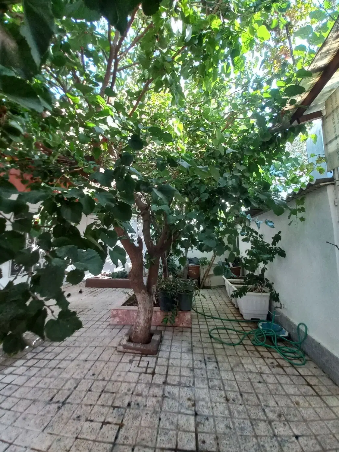 خانه ویلایی 150متری واقع در پرستار 7یا عارف10