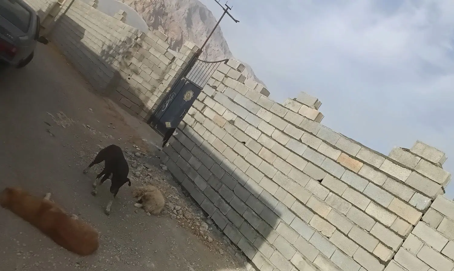باغ۹۰۰متری پشت رخش