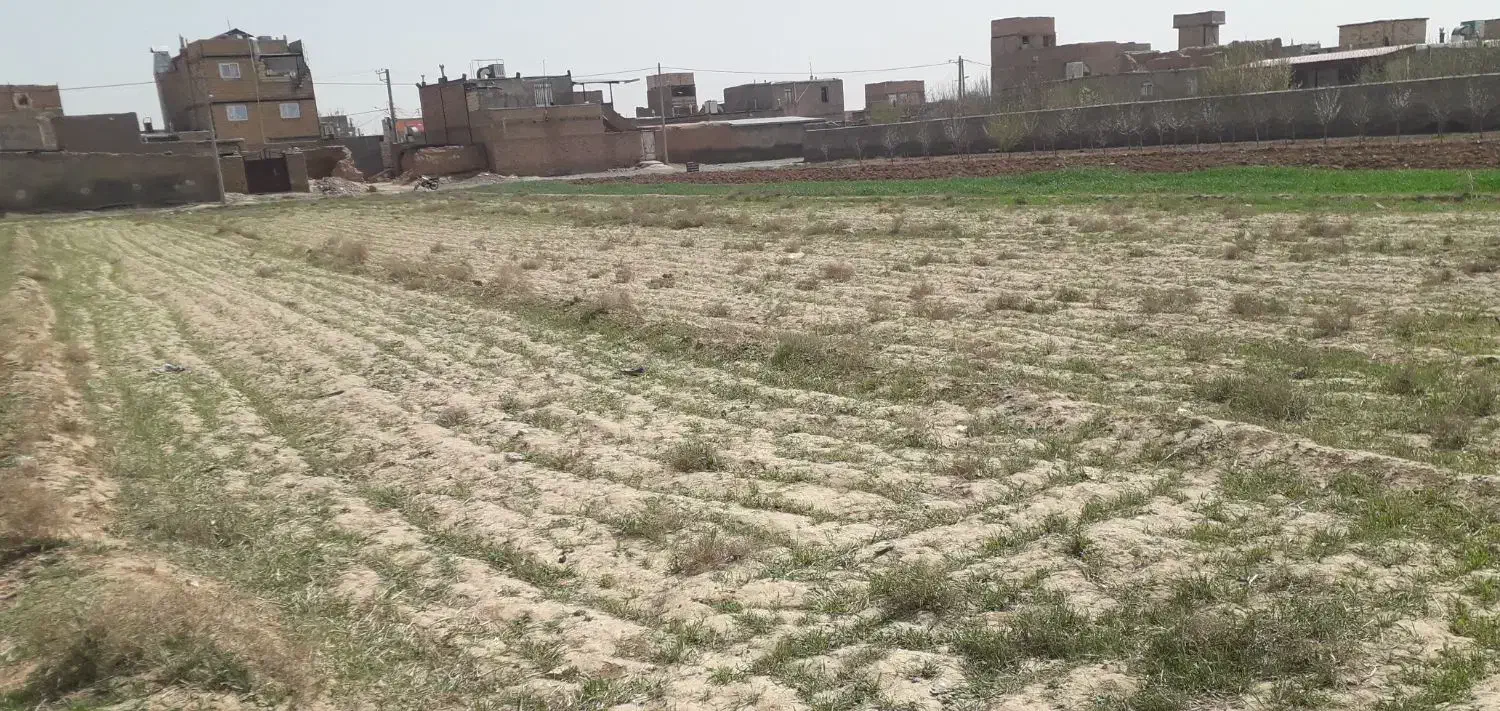 ۲۲۰ متر زمین ابوسعدی