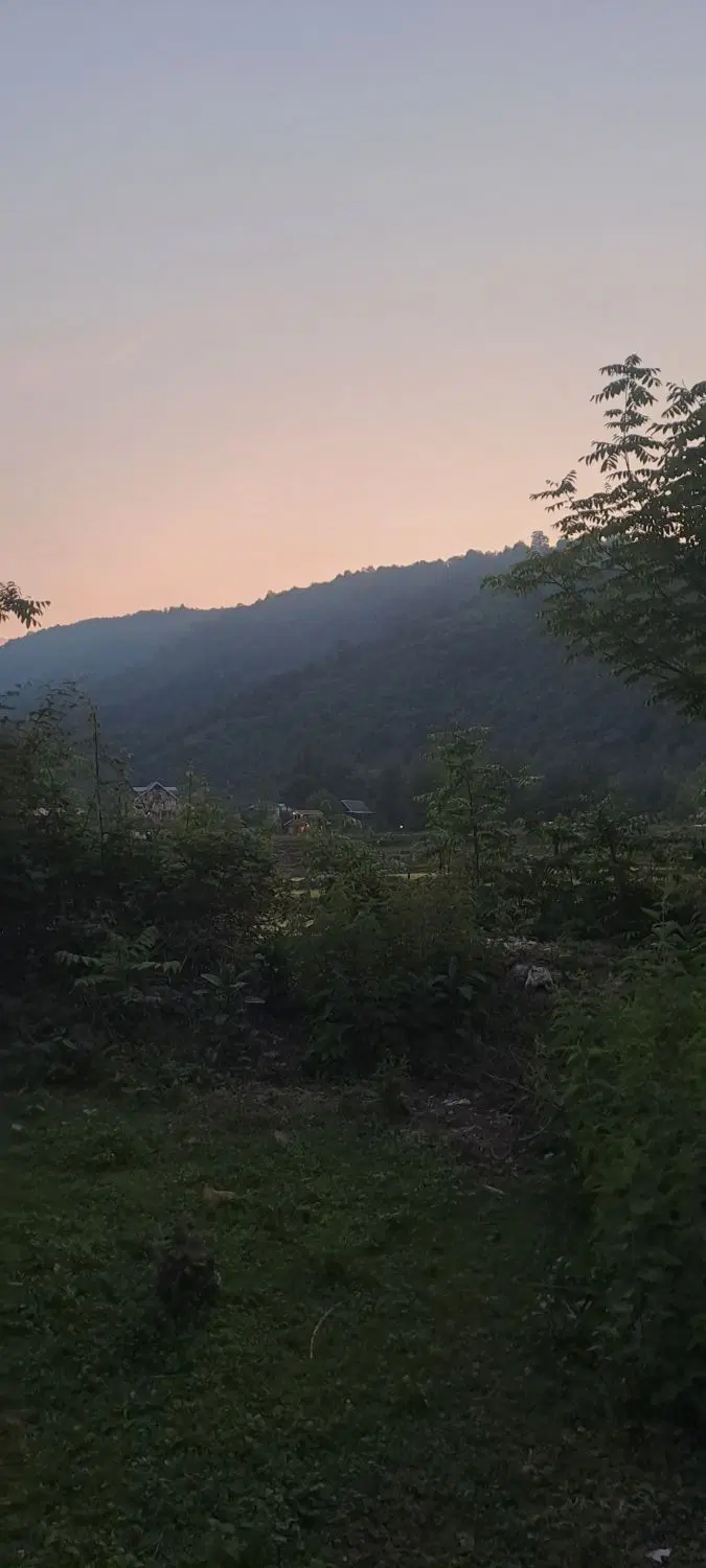 ۵۰۰متر باغات داخل طرح مناسب ساخت کلبه ماسال