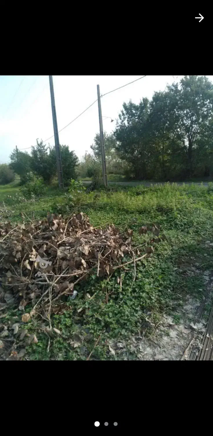 زمینی به متراژ ۷۰۰ متر و ویو جنگل عالی مناسب