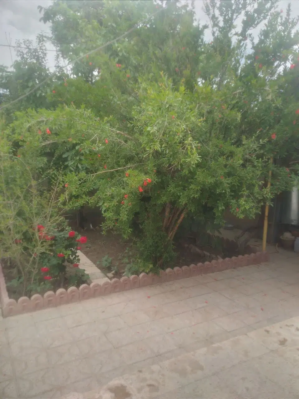 خانه ویلایی گلبهار