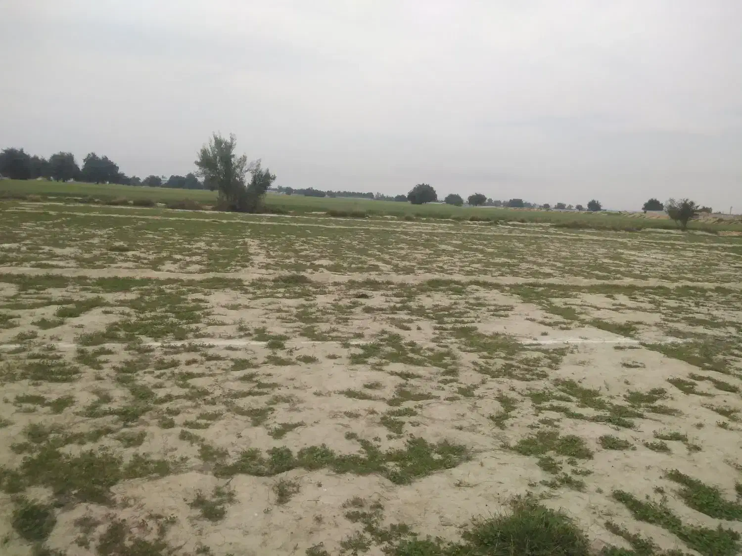 زمین ۲۴۴۱ متری