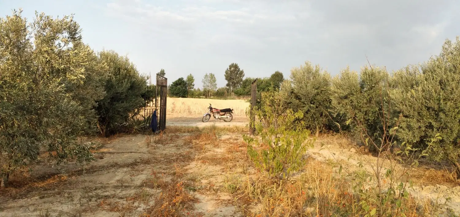 زمین به متراژ ۱۰۰۰ متر