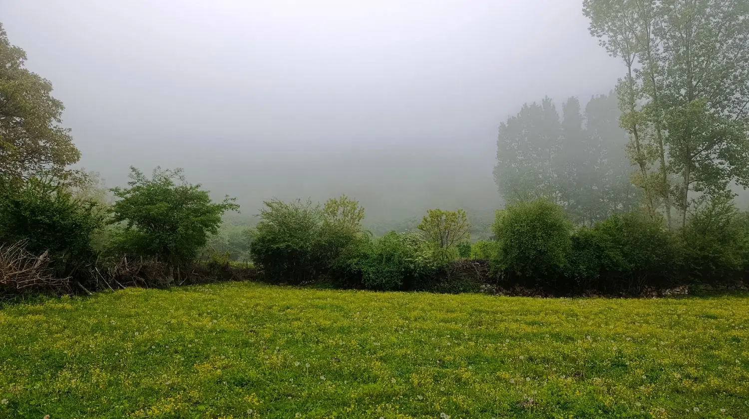 فروش زمین